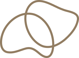 novau home intro icon